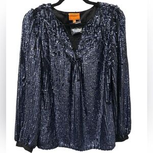 Oliphant Sequin V Neck Blouse with Button Detail at the Sleeve